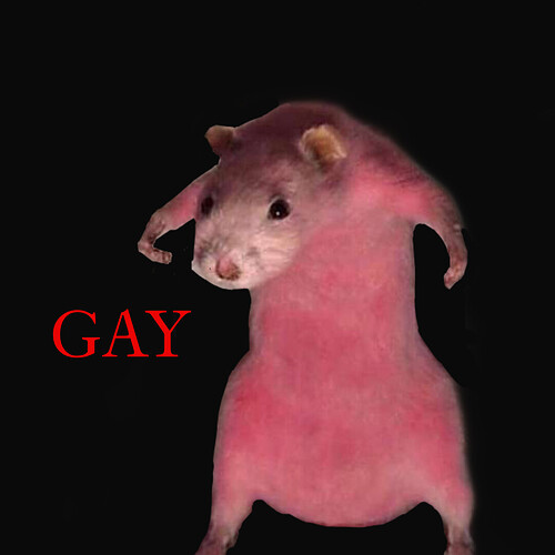 rat