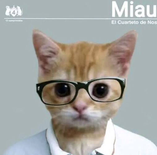 Miau raro