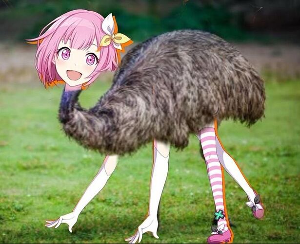 wild emu