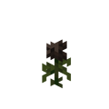 Wither_Rose_JE1_BE1