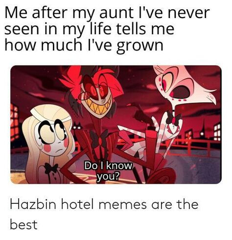 Memes of Hazbin Hotel (or Helluva Boss)/Memes de Hazbin Hotel (o ...